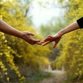 ╰つ芒果ゝ、主播照片