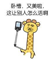 &amp;初見♂♀主播照片