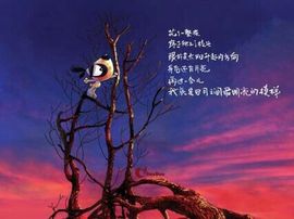 の小花。xh主播照片