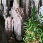 那酷哥海报