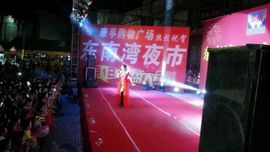 琳丫头d主播照片