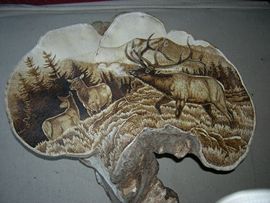 易博轩主播照片