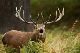 易博轩主播照片