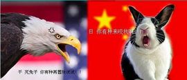 妖精求守护主播照片