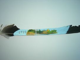 易博轩主播照片