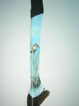 易博轩主播照片