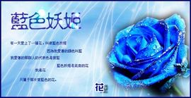 陈思郦🍀听经典🍀主播照片