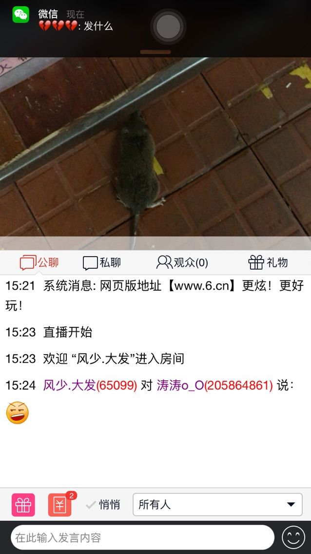 ﹏☆VIP濤濤的主播照片