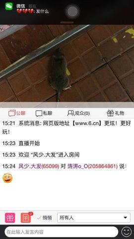 ﹏☆VIP濤濤主播照片