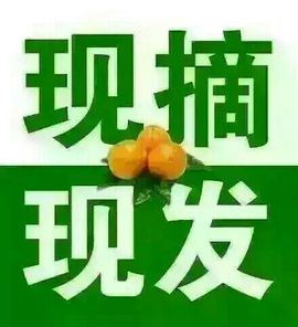 ～葵院长♥小钓主播照片