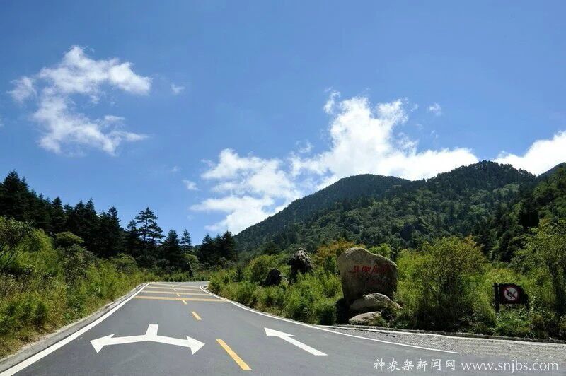 神农架.山妹妹主播照片