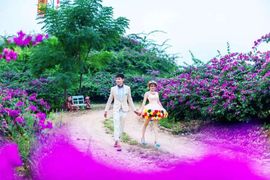 桂林花海景区主播照片