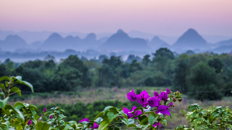 桂林花海景区的主播照片