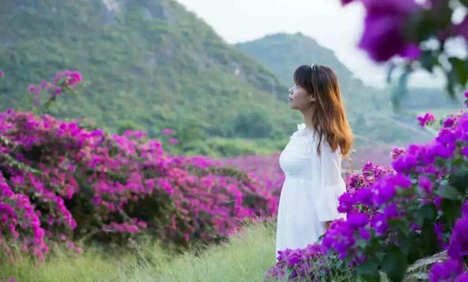 桂林花海景区的主播照片