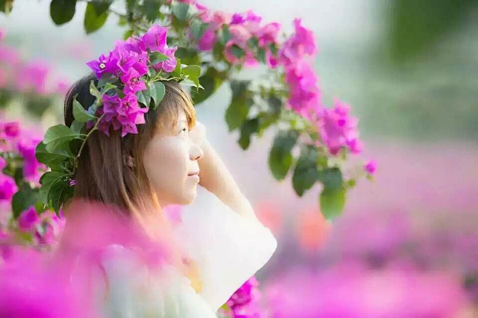 桂林花海的主播照片
