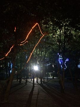 花海旅游主播照片