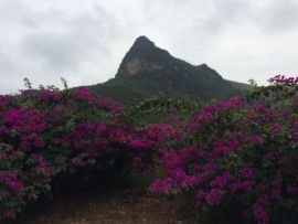 花海旅游主播照片