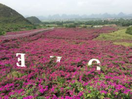 花海旅游主播照片