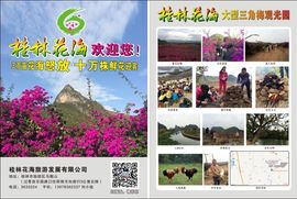 花海旅游主播照片