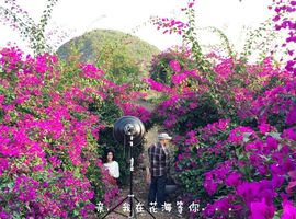 花海旅游主播照片