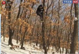 泓一户外主播照片