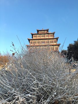 泓一户外主播照片