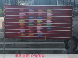 情歌感恩有你主播照片