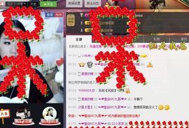 编号551主播照片