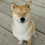 阿皓丶头像