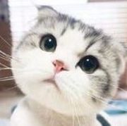 ♪sh~㊣乐逍遥♡