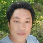 骑虎逛东京海报