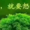 决定～命运海报