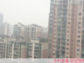 初心小号主播照片