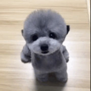 Nn_Sarah的头像