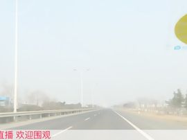 Sweet💫主播照片