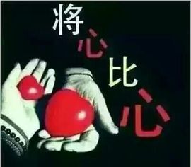 乖“我们的回忆，😘主播照片