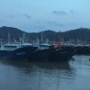 森哥sr海报