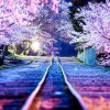 海天★^O^♛