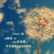 从新开始我的梦想