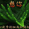 龙行天下7kz