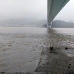 （没房没车）的头像