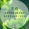 聊城孟尝君酒业