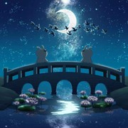 ✔为你解忧☜海报