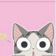 旺小猫海报