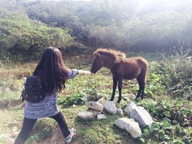 岚曦.主播照片