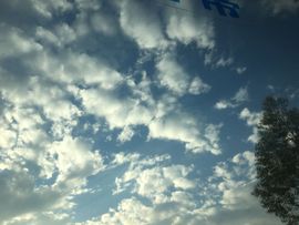 ❥阿丽玛☄主播照片