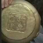 我的心已长草