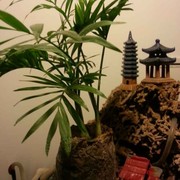 微信_2359107