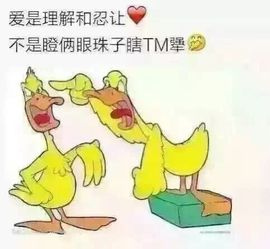 然，，，，主播照片