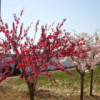 诚外无物海报